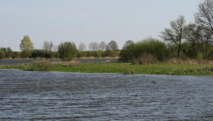 Etang du Louroux, Nicolas Macaire