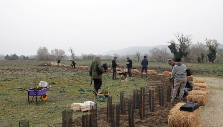 Chantier de plantation de haies à Cadenet © Anaëlle Francia