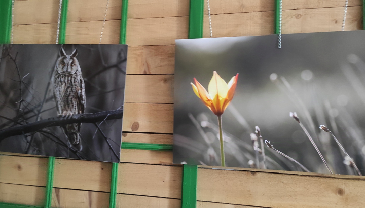 Expo Biodiversité de l'Aude