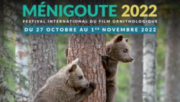 Extrait Affiche du 38e Festival International du Film Ornithologique de Ménigoute