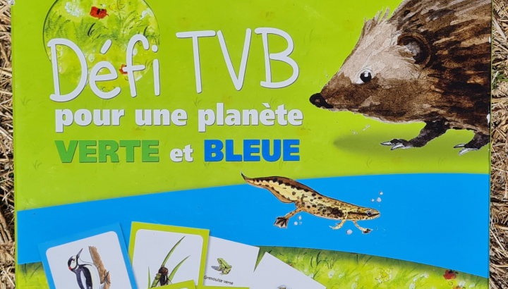 Défi TVB