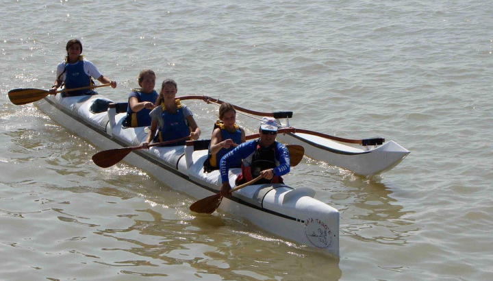 Aigrettes garzettes sur une branche