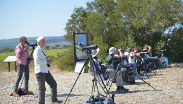 Groupes d'observateurs