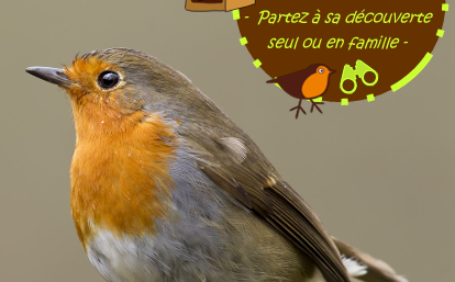 Livret jeu Un refuge de biodiversité