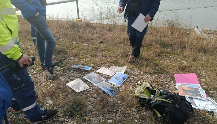 Présentation des espèces présentes sur le site ©Fanny Peger