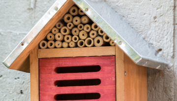 Gîte à coccinelles (son ouverture montre la paille sèche à l'intérieur), dans le potager © Aymeric Delporte