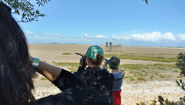 Anse de Fouras © Réserve naturelle du marais d'Yves
