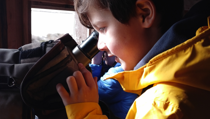 Observation ornithologique © Réserve naturelle du marais d'Yves