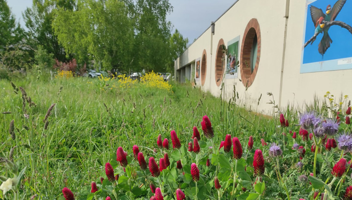 Pelouses et fleurs devant un batiment beige avec des fenêtres circulaires