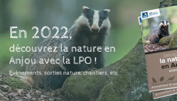 visuel "En 2022, découvrez la nature en Anjou avec la LPO !"
