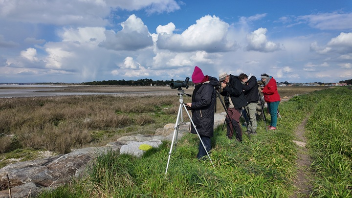 Comptage en Baie de Bourgneuf - Photo © Marie Gontier - LPO Vendée