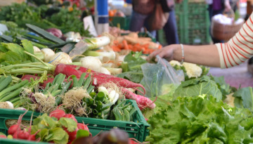 Crédit photo : Pixabay