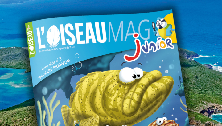 couverture L'OISEAU MAG Junior - Hors série n°3