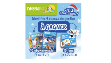 jeu concours Oiseau Mag Junior 2021