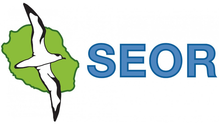 Logo SEOR