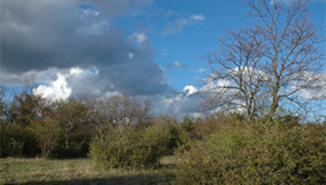 Colline du Hohliesel