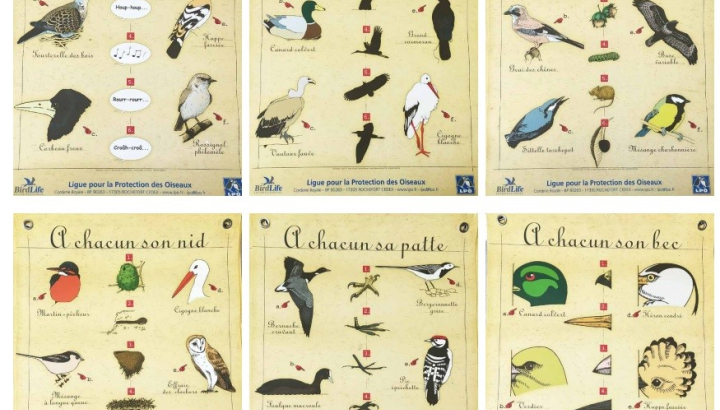 Jeu : A chacun son…
