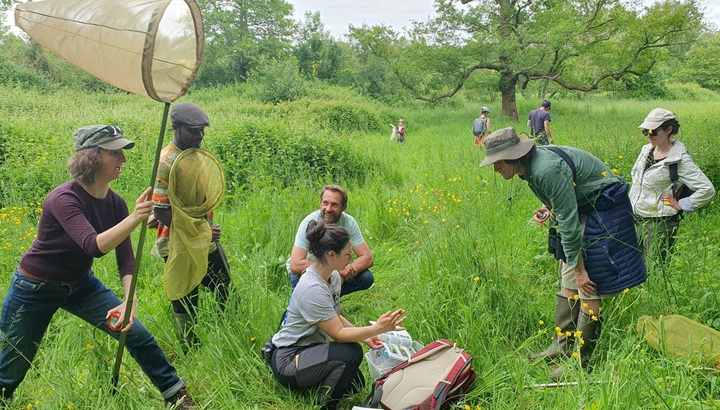 Week-end naturaliste : faire du terrain ensemble ! - Photo © Elodie Douvry - LPO Vendée