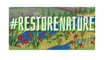 Dessin avec message "RESTORENATURE"