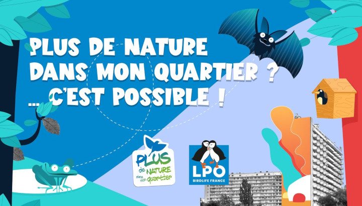 Illustration du programme « Plus de nature dans mon quartier ! »