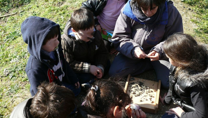 Safari Junior Sur les traces des animaux