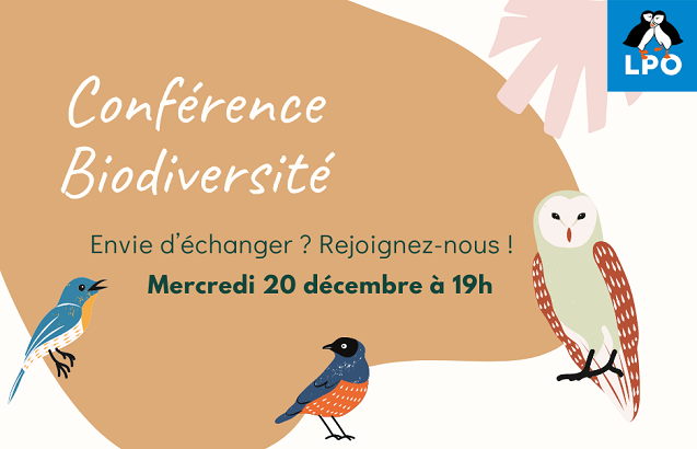 Affiche de la conférence