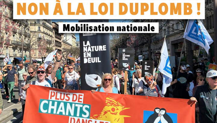 Visuel LPO France