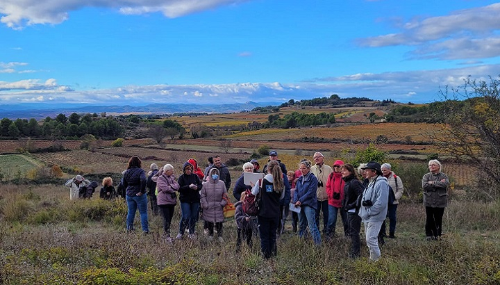 groupe dans des vignes