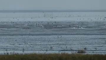 Vue sur la baie depuis le Mirador