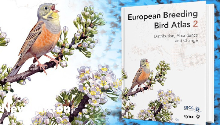 visuel de l'Atlas européen des oiseaux nicheur