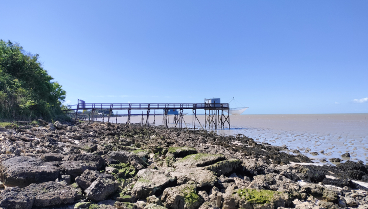 Le Magnou © Réserve naturelle de la baie et du marais d'Yves