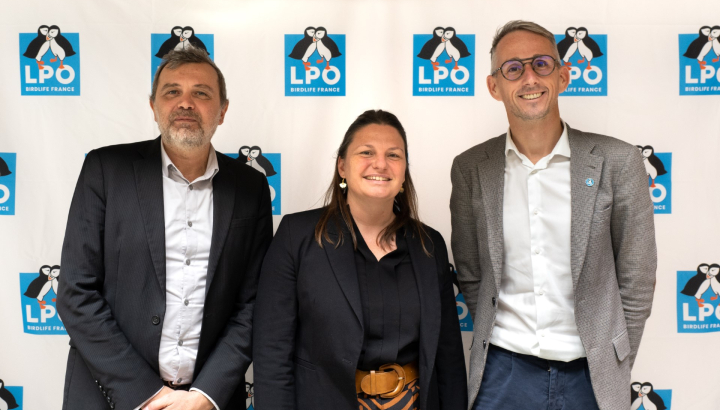 Olivier Denoue, Vanessa Lorioux et Cédric Marteau