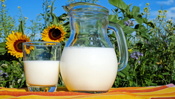 verre de lait à côté d'une carafe de lait