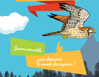 livret jeu : Les rapaces, cette puissance est fragile