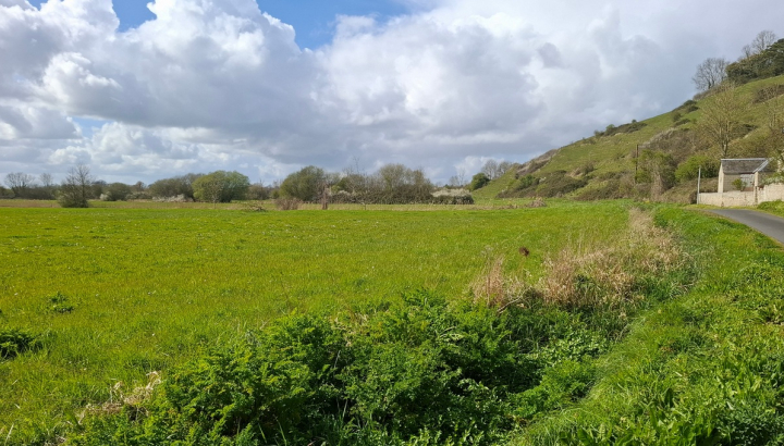 Prairie humides et coteaux du Bessin