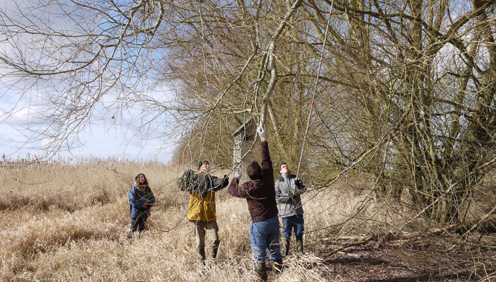 Chantier nature © Christian Hervé