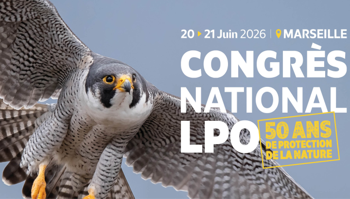 les 20 et 21 juin 2026 - Marseille - Congrès national LPO - 50 ans de protection de la nature