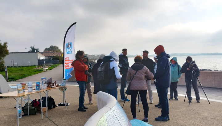 Point d'observation des oiseaux