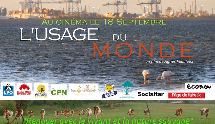 Affiche du film "L'Usage du monde"
