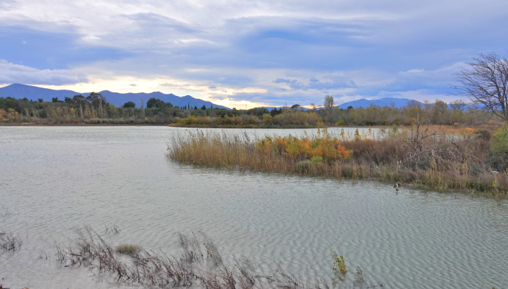 Le Lac et au fond le massif des Albères Photo Cécilia Fridlender