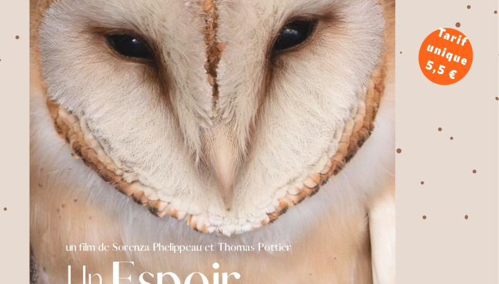 Affiche du film