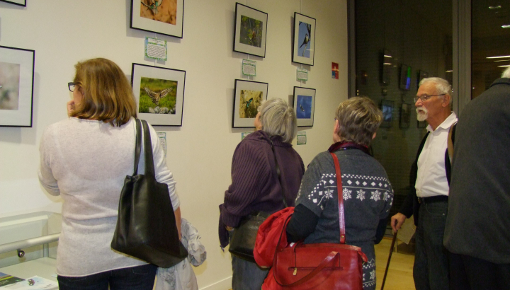 Expo quatre vautours