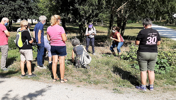 © Les amis du parc