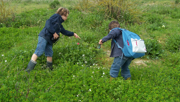 Sur les traces des animaux © Réserve naturelle du marais d'Yves