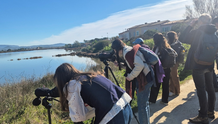 Observation d'oiseaux © Coralie Finck