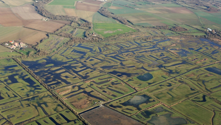 Vue aérienne du marais de voutron