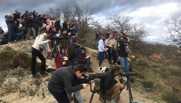 Observation de la migration à Pierre-Aiguille