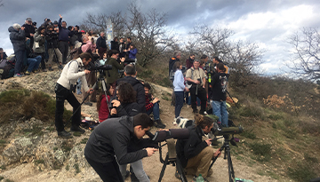 Observation de la migration à Pierre-Aiguille