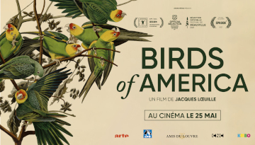 Affiche du film Birds of America