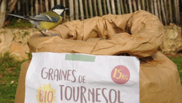 Mésange sur un sac de graines de tournesol